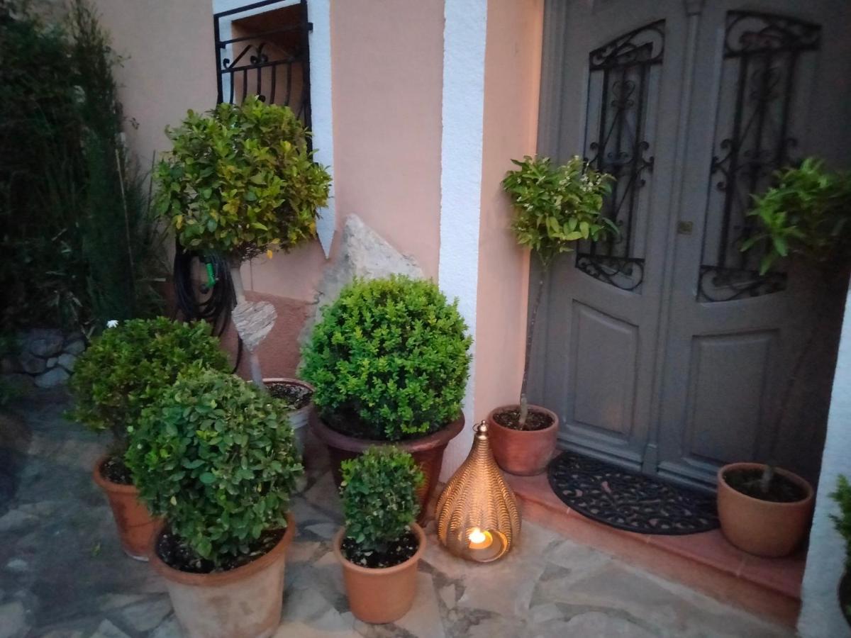 Les Penyetes Boutique Bed And Breakfast Campell Exterior foto